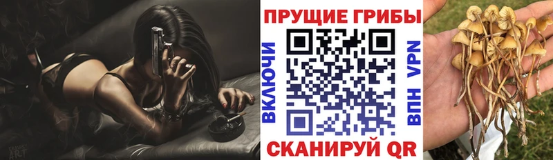 Купить закладки  Самара  Галлюциногенные грибы прущие грибы 
